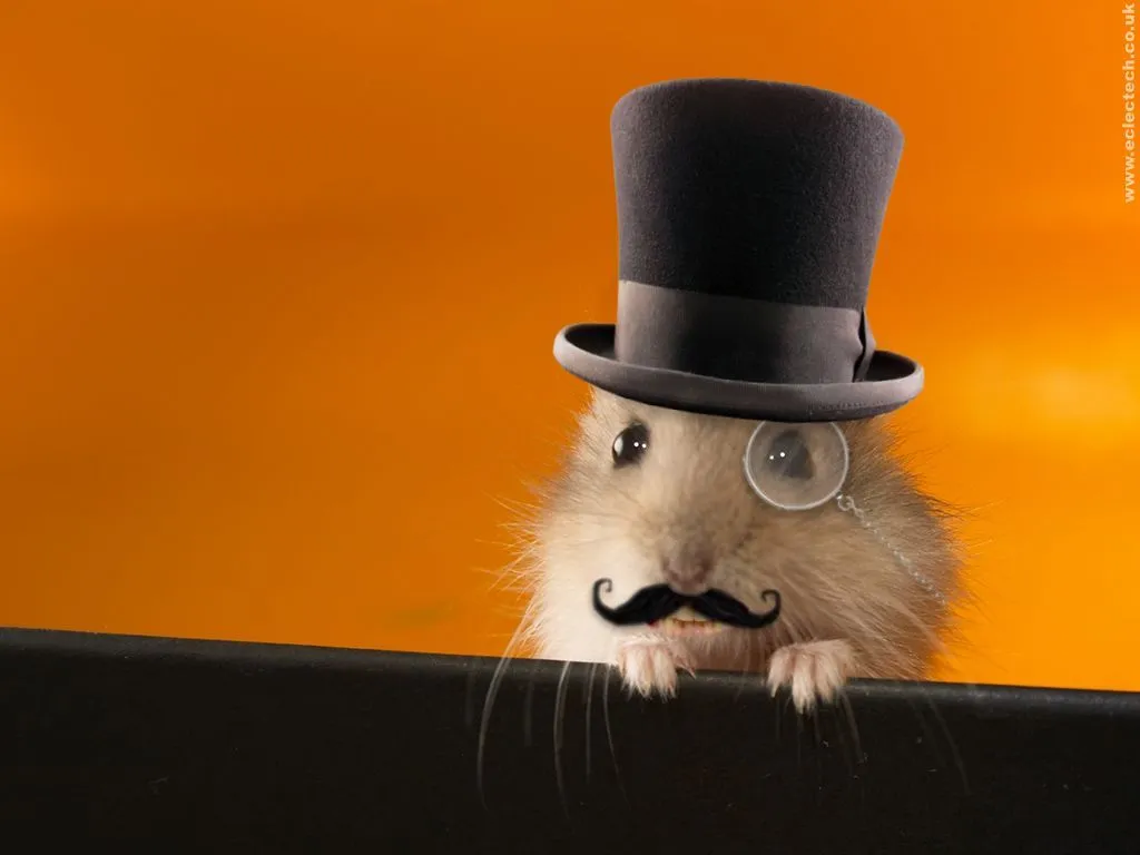 Alfred el hamnster Alfred el hamnster