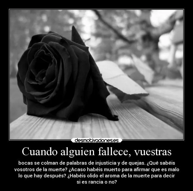Cuando alguien fallece, vuestras | Desmotivaciones Cuando alguien fallece, vuestras | Desmotivaciones