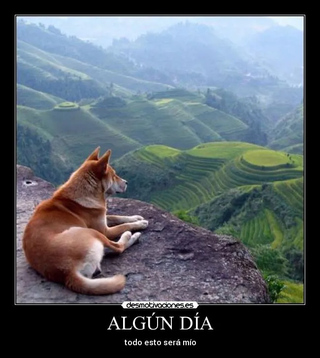 ALGÚN DÍA | Desmotivaciones