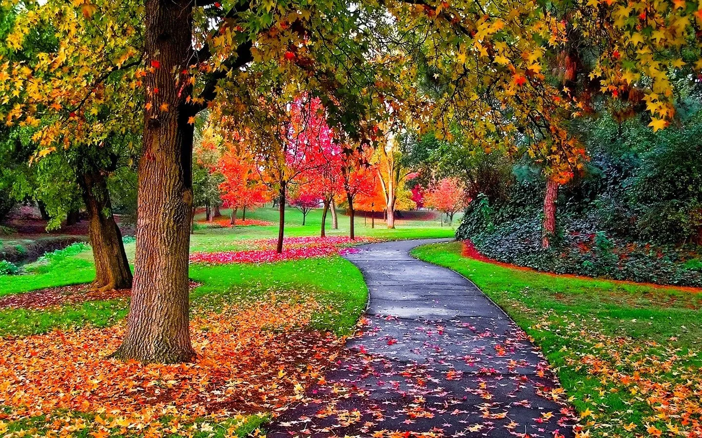 AliciaVlogTV: Otoño e Invierno: Como ahorrar en nuestras cuentas ...