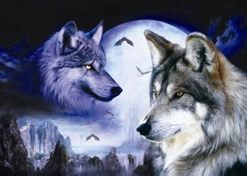 Imagenes de lobo en 3D - Imagui