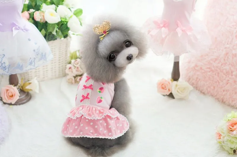 Aliexpress.com: Comprar 2015 Chihuahua cachorro XS perro vestido ... Aliexpress.com: Comprar 2015 Chihuahua cachorro XS perro vestido ...