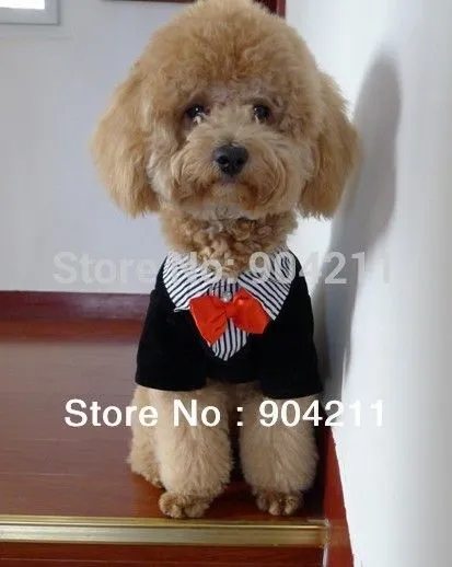 Aliexpress.com: Comprar 2015 nuevo verano gato perro mascota de ... Aliexpress.com: Comprar 2015 nuevo verano gato perro mascota de ...