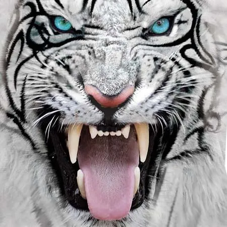 Aliexpress.com: Comprar Cabeza de tigre blanco Emoji 3D impresión ... Aliexpress.com: Comprar Cabeza de tigre blanco Emoji 3D impresión ...