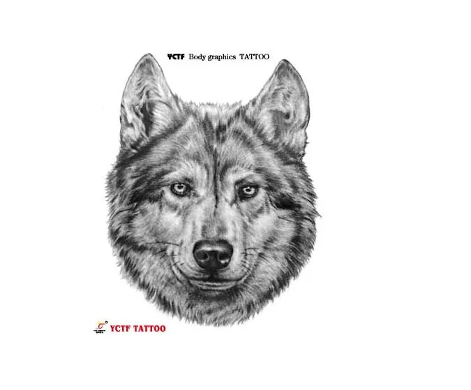 Aliexpress.com: Comprar Tatuaje impermeable forma lobo by gris ...