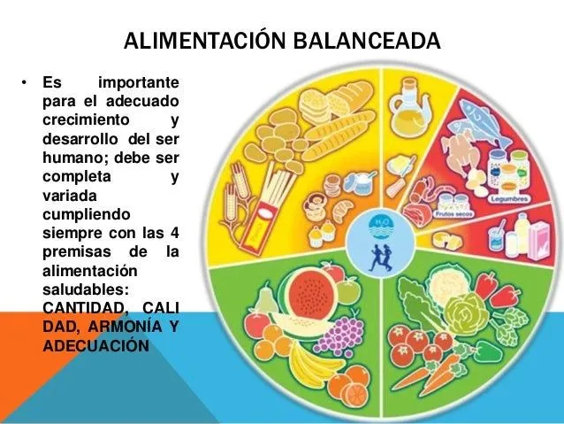 alimentacin-balanceada-y- ...