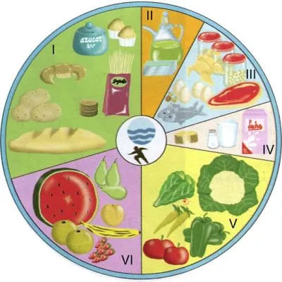 Alimentacion