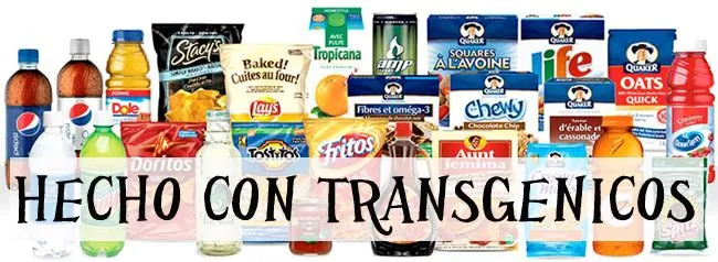 Los alimentos transgénicos ¿es positivo o negativo? | Amor al ... Los alimentos transgénicos ¿es positivo o negativo? | Amor al ...