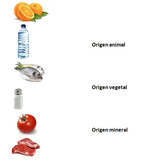 La Alimentación.: 2. CLASIFICACIÓN DE LOS ALIMENTOS SEGÚN SU ORIGEN.