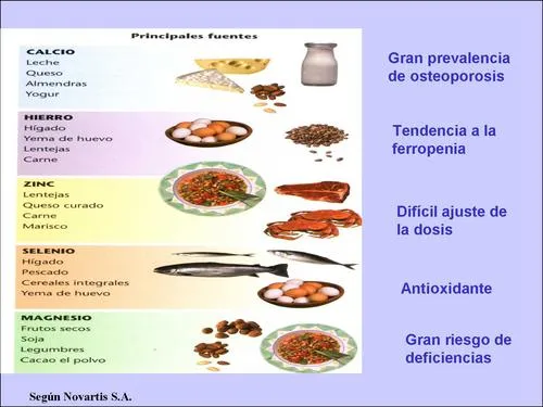 Alimentación y envejecimiento. Parte II: Las fuentes de los ... Alimentación y envejecimiento. Parte II: Las fuentes de los ...