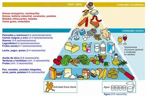 Cadena de alimentos - Imagui
