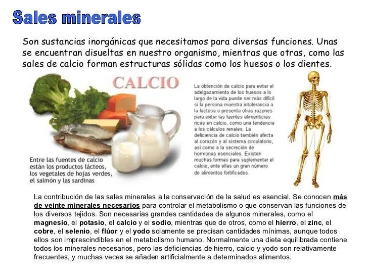 ALIMENTACION Y NUTRICION