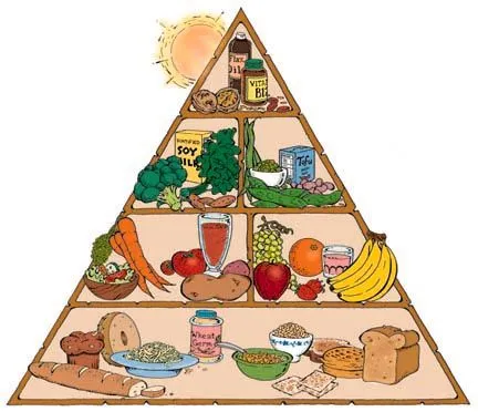 Una alimentación sin productos de origen animal no es más sana ... Una alimentación sin productos de origen animal no es más sana ...