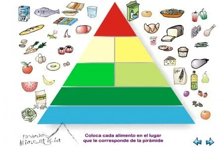 alimentación | Segundo Y Tercer ciclo primaria (3º - 4º y 5º- 6º ... alimentación | Segundo Y Tercer ciclo primaria (3º - 4º y 5º- 6º ...