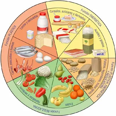 Alimentación y salud | Webquest: Concepto, Origen, Estructura ... Alimentación y salud | Webquest: Concepto, Origen, Estructura ...