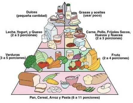 Productos de origen animal vegetal y mineral - Imagui Productos de origen animal vegetal y mineral - Imagui