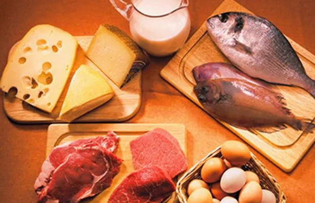 Los Alimentos: Los alimentos constructores