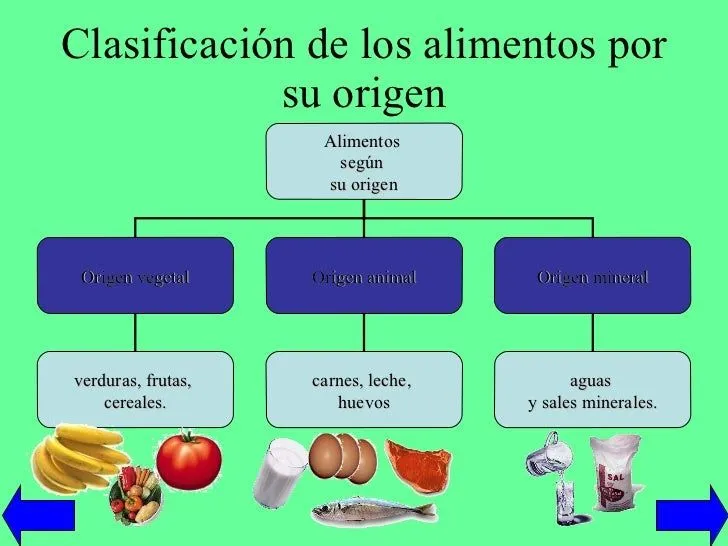 los-alimentos-7-728.jpg?cb= ...