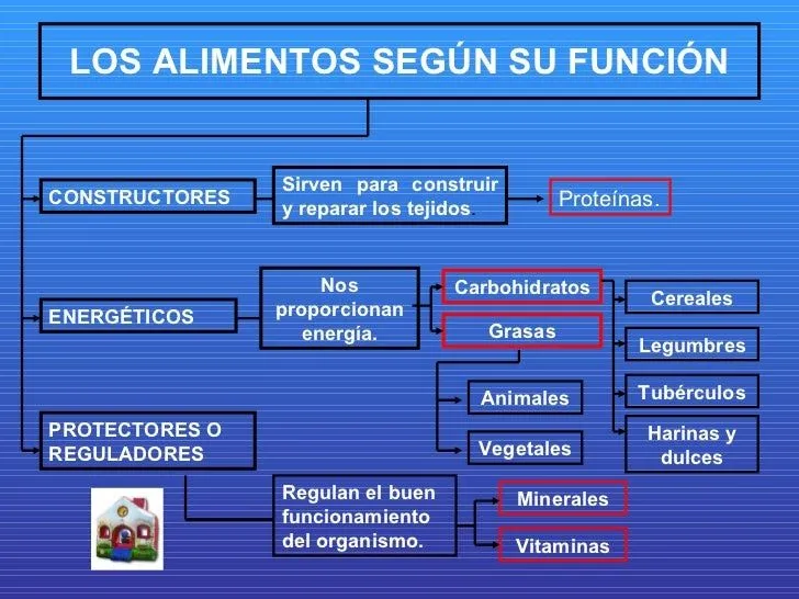 los-alimentos-6-728.jpg?cb= ...
