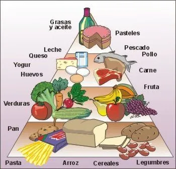 NUESTROS ALIMENTOS: CLASIFICACION DE LOS ALIMENTOS POR SU FUNCION NUESTROS ALIMENTOS: CLASIFICACION DE LOS ALIMENTOS POR SU FUNCION