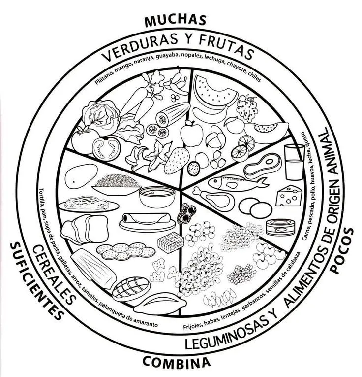 Alimentos para colorear, Plato del bien comer, Plato del buen comer Alimentos para colorear, Plato del bien comer, Plato del buen comer
