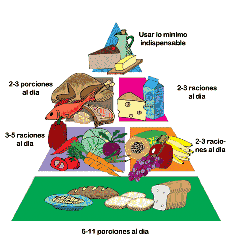 Alimentos Constructores