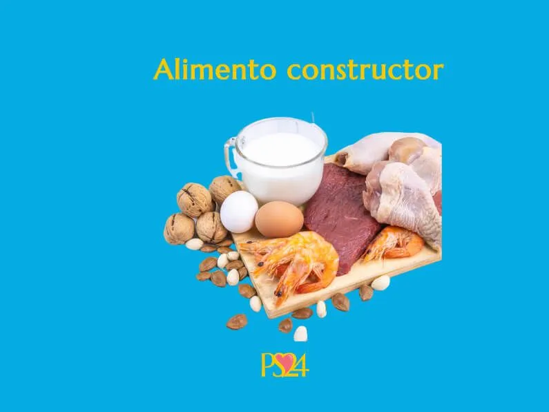 Alimentos Constructores | Academia de Pacientes 24 horas Alimentos Constructores | Academia de Pacientes 24 horas