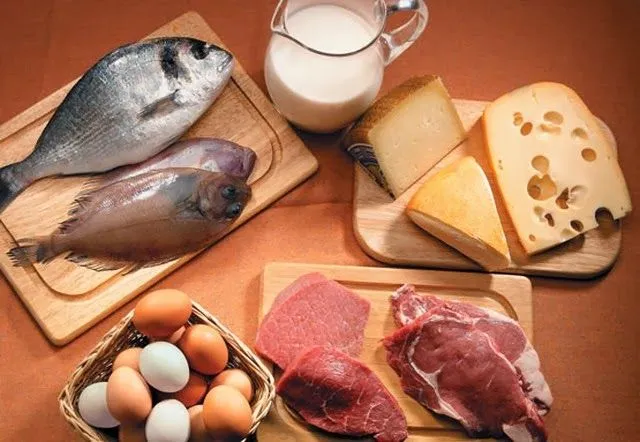 Alimentos Constructores: Alimentos Constructores Alimentos Constructores: Alimentos Constructores