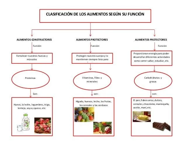 Alimentos constructores alimentos protectoresalimentos prote…