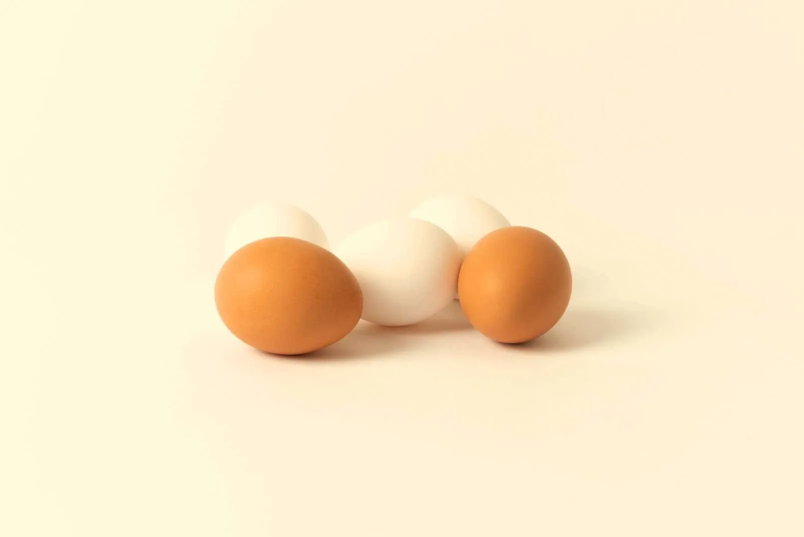 Cuáles son los alimentos constructores y qué función cumplen? - TuInfoSalud Cuáles son los alimentos constructores y qué función cumplen? - TuInfoSalud