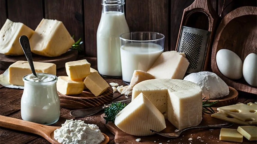 Qué son los alimentos constructores y cómo funcionan en el organismo Qué son los alimentos constructores y cómo funcionan en el organismo