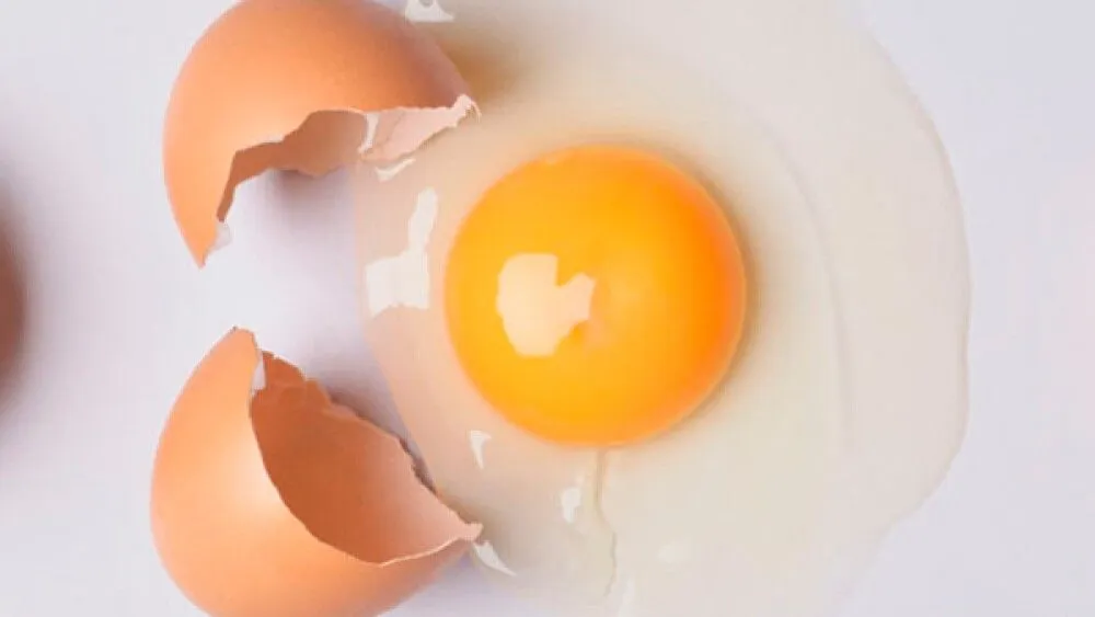 Qué son los alimentos constructores y cómo funcionan en el organismo Qué son los alimentos constructores y cómo funcionan en el organismo