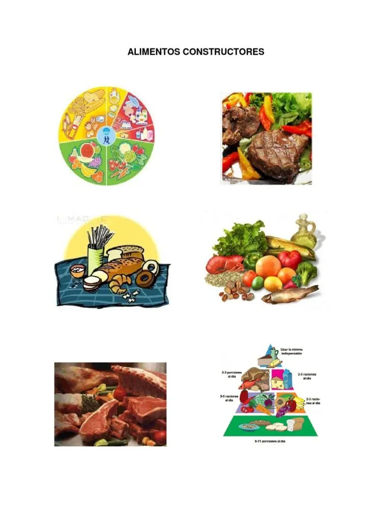 Alimentos Constructores | PDF
