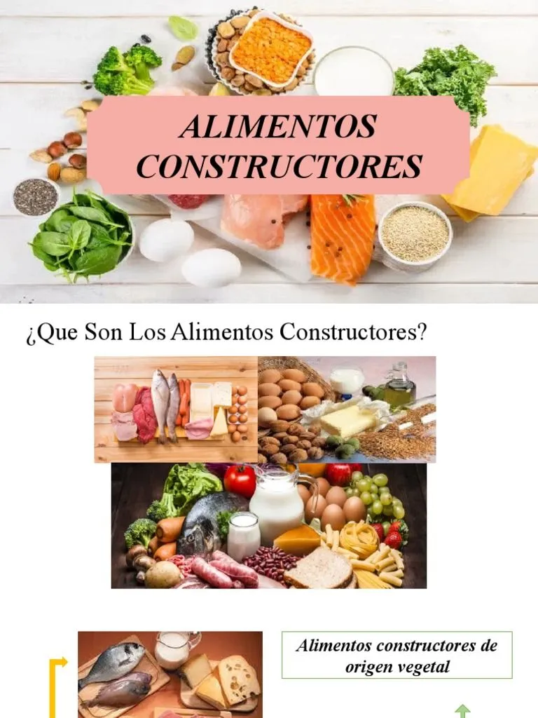 Alimentos Constructores | PDF Alimentos Constructores | PDF