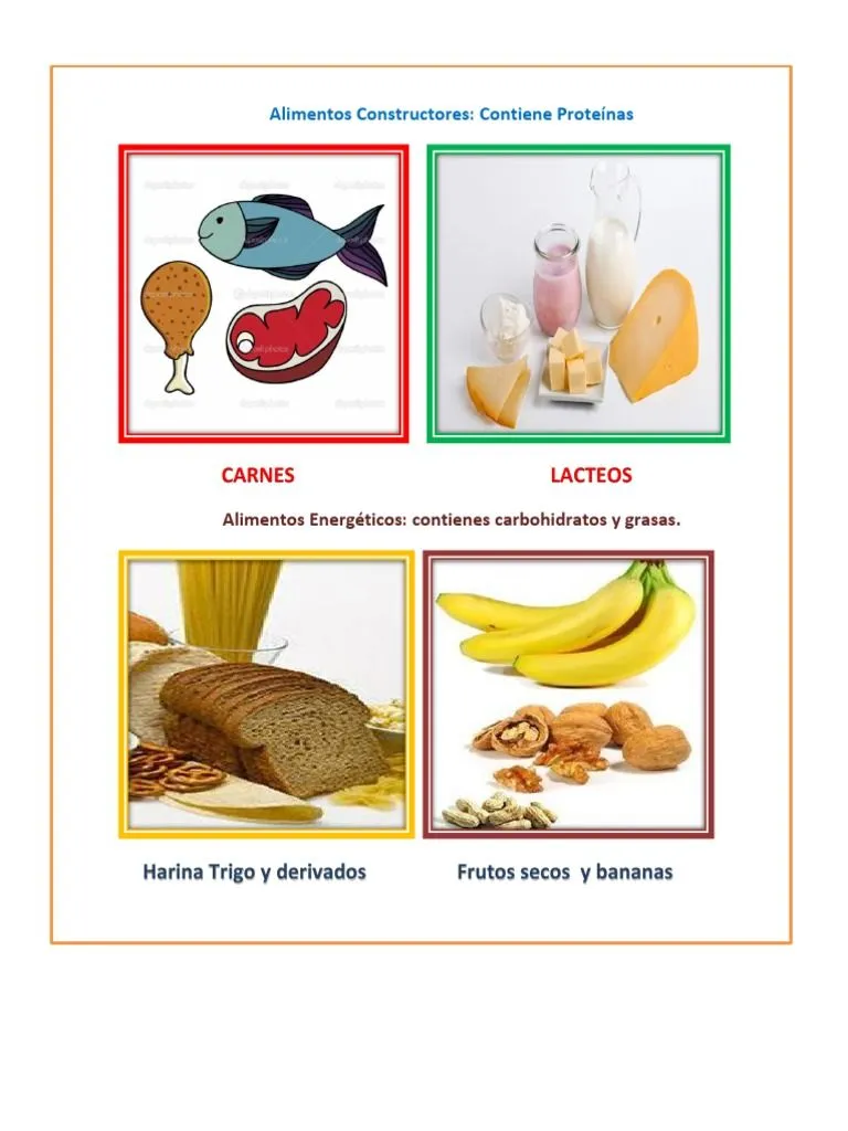 Alimentos Constructores | PDF Alimentos Constructores | PDF