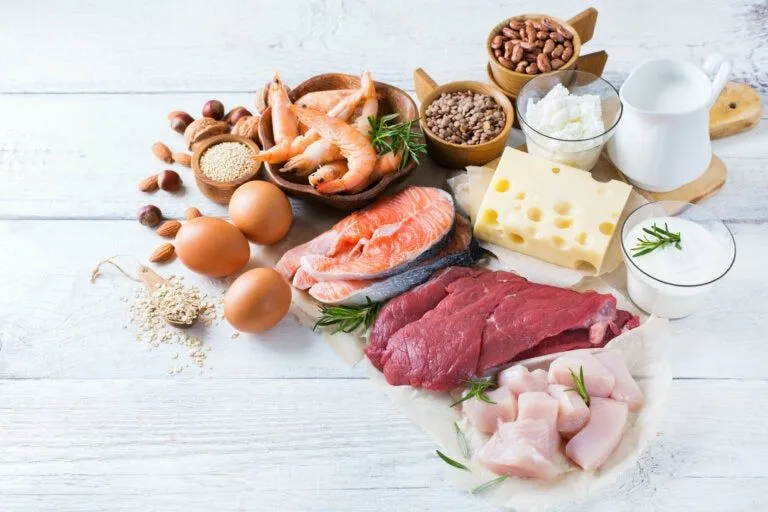 Alimentos constructores: ¿qué son y qué función cumplen? - Mejor con Salud Alimentos constructores: ¿qué son y qué función cumplen? - Mejor con Salud