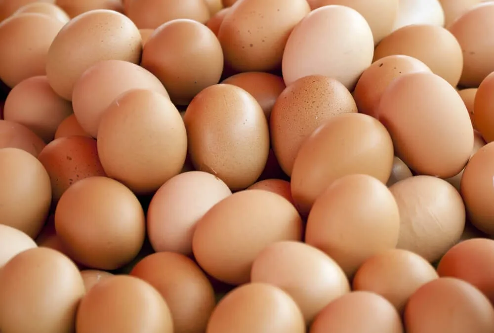 Alimentos constructores: ¿qué son y qué función cumplen? - Mejor con Salud Alimentos constructores: ¿qué son y qué función cumplen? - Mejor con Salud