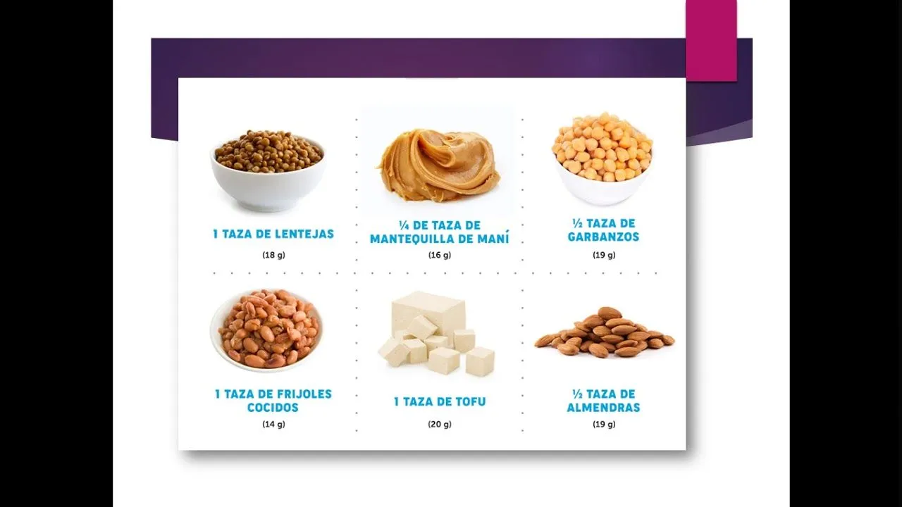 ALIMENTOS CONSTRUCTORES 02 - YouTube