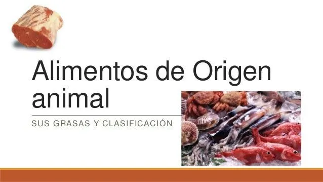 alimentos-de-origen-animal-y- ...