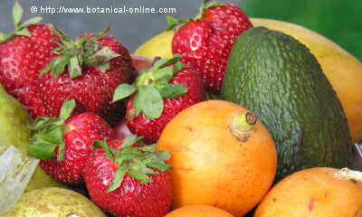 Alimentos depurativos