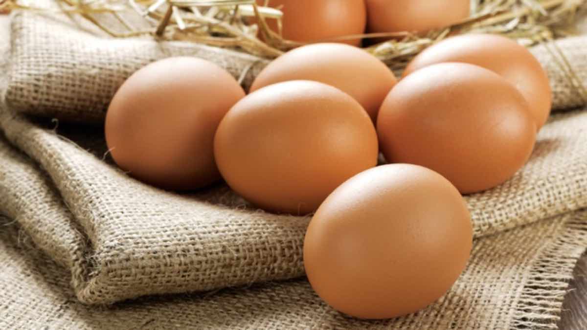 5 alimentos energéticos para combatir la fatiga y el cansancio - Recetuquis 5 alimentos energéticos para combatir la fatiga y el cansancio - Recetuquis
