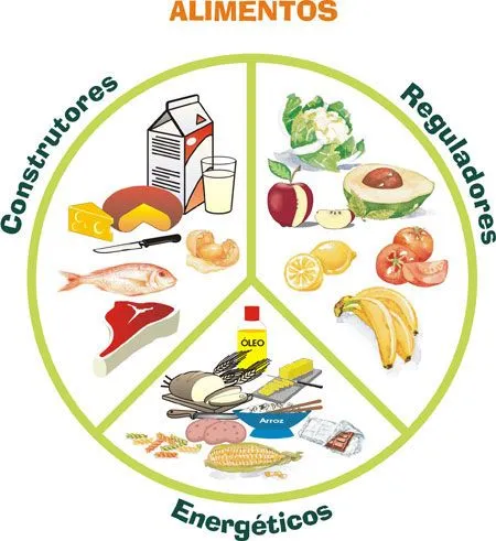 ALIMENTOS ENERGÉTICOS, CONSTRUTORES E REGULADORES! | Corre Que ... ALIMENTOS ENERGÉTICOS, CONSTRUTORES E REGULADORES! | Corre Que ...