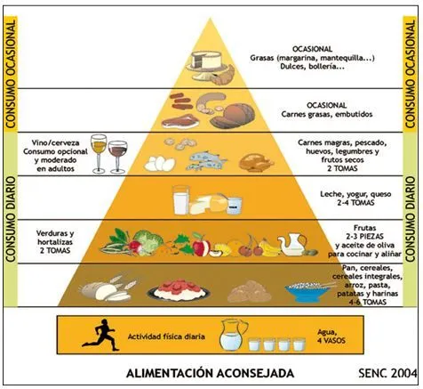 Los alimentos energeticos - Imagui