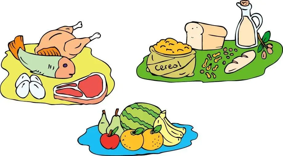Alimentos estructurales - Escolar - ABC Color Alimentos estructurales - Escolar - ABC Color