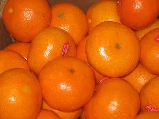ALIMENTOS FOTOS DIBUJOS IMAGENES Y MAS: FOTOS DE MANDARINAS ALIMENTOS FOTOS DIBUJOS IMAGENES Y MAS: FOTOS DE MANDARINAS