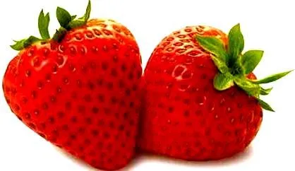 DIBUJOS ALIMENTOS FOTOS IMAGENES : FOTOS: FRUTAS CON F O QUE ... DIBUJOS ALIMENTOS FOTOS IMAGENES : FOTOS: FRUTAS CON F O QUE ...