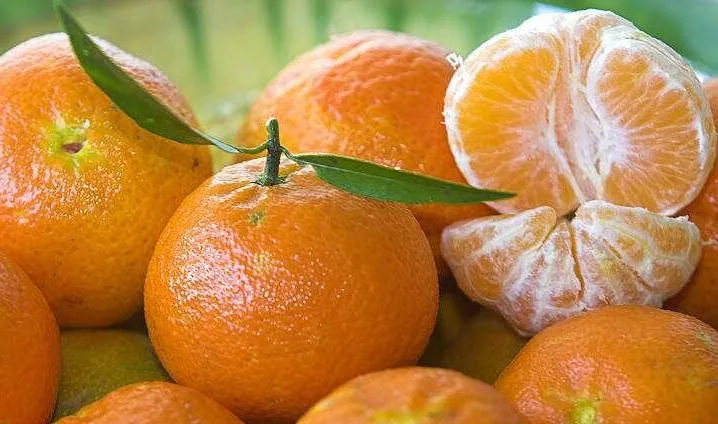 ALIMENTOS FOTOS DIBUJOS IMAGENES Y MAS: FOTOS DE MANDARINAS ALIMENTOS FOTOS DIBUJOS IMAGENES Y MAS: FOTOS DE MANDARINAS