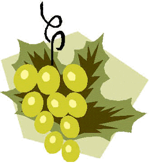 ALIMENTOS FOTOS DIBUJOS IMAGENES Y MAS: FOTOS DE UVAS