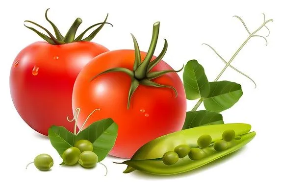 Arte con frutas y verduras en ilustraciones de vector: Tomates y ...