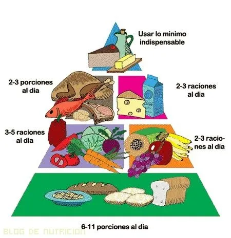 Alimentos-necesarios-al-dia.jpg